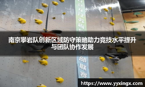 金年会
